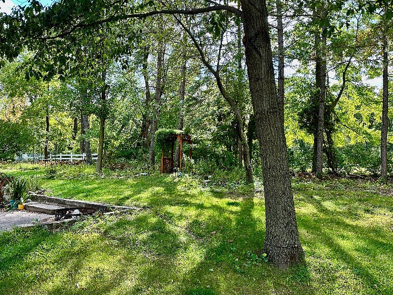 Furnished Finder property 593640_1 photo 23
