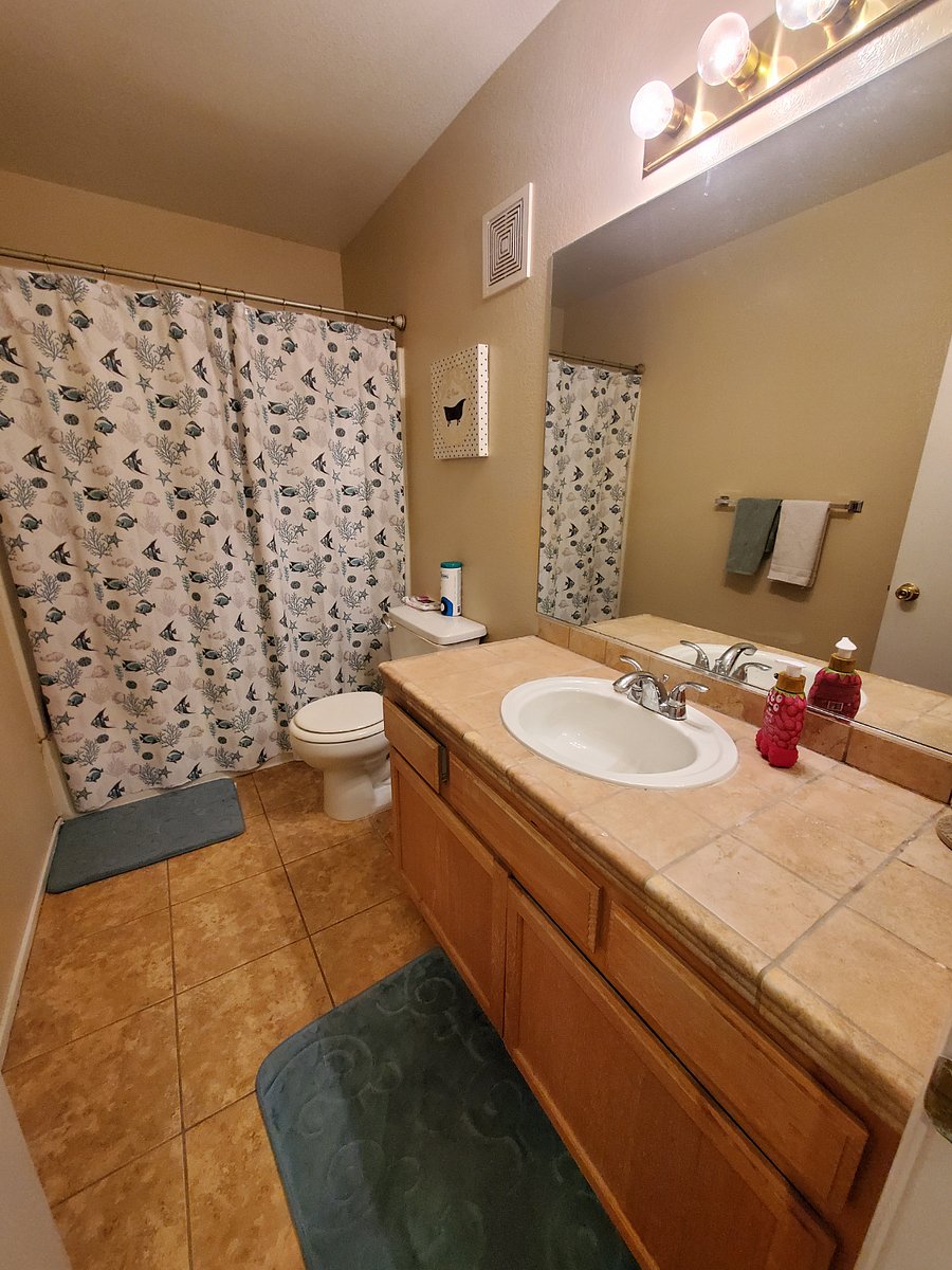 Renters bathroom