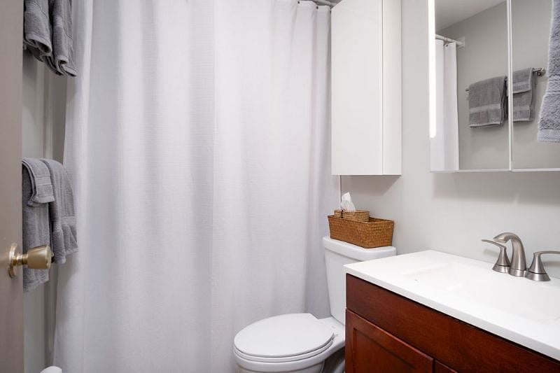 Full bath with shower tub and a lot of toiletries storage in the 2 medicine cabinets.