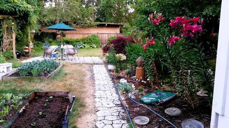 Back garden