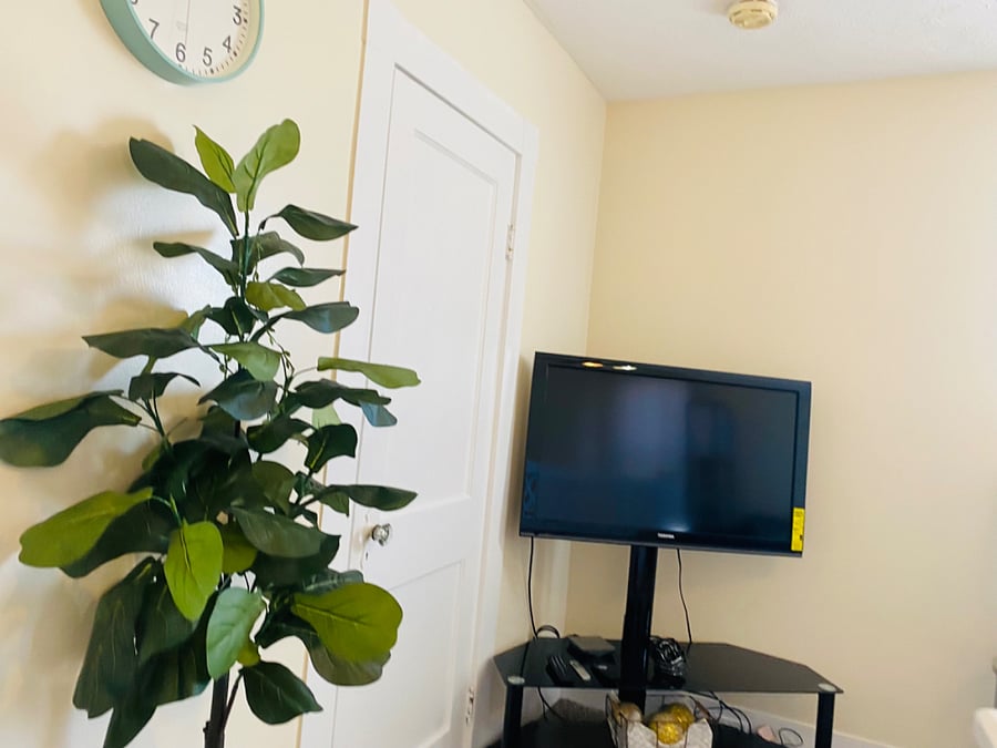 Furnished Finder property 594418_1 photo 9