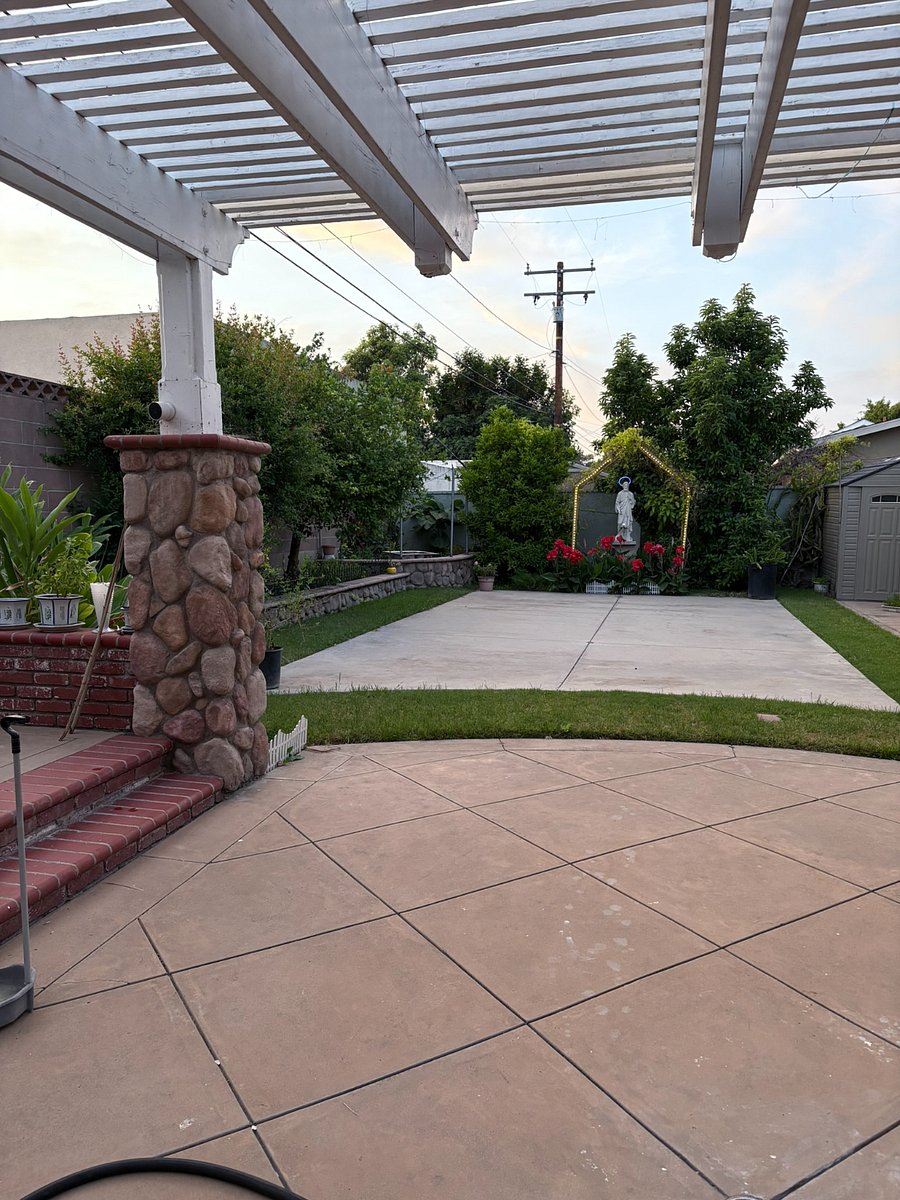 Backyard / garden