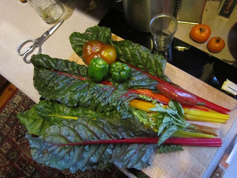 organic veggies from no till gardens