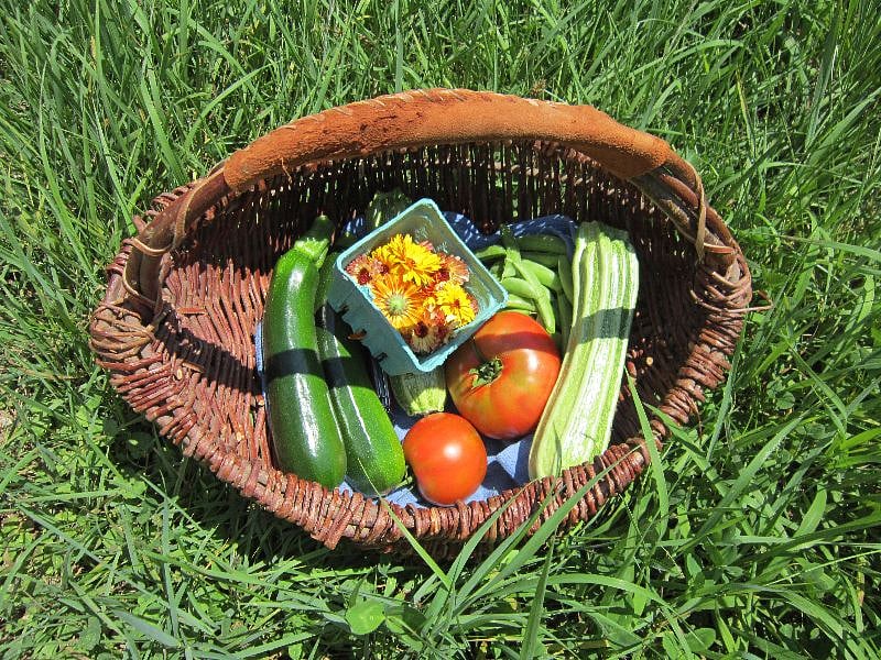 a trip to the garden