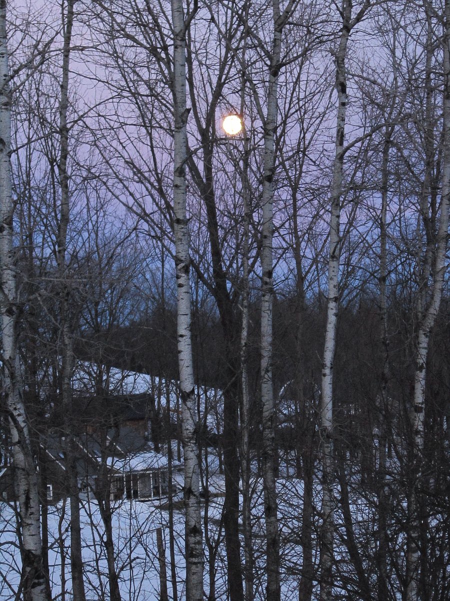 Winter moonrise