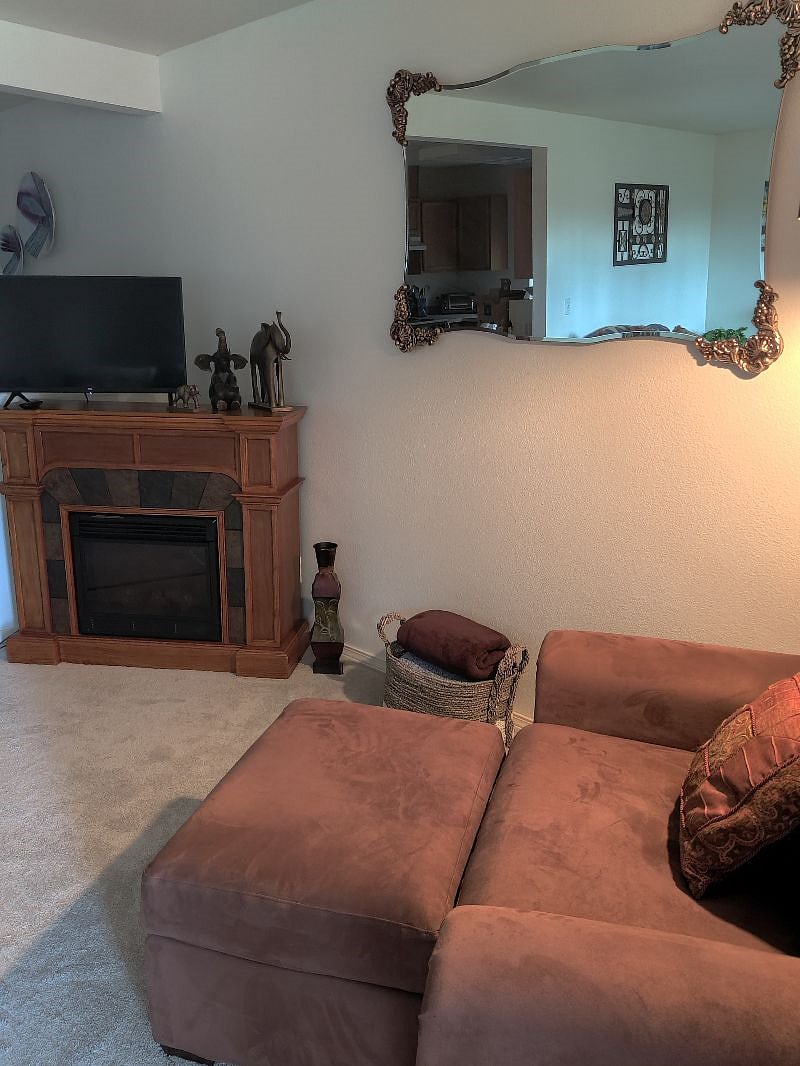 Living room (easy chair folds out to a single bed)