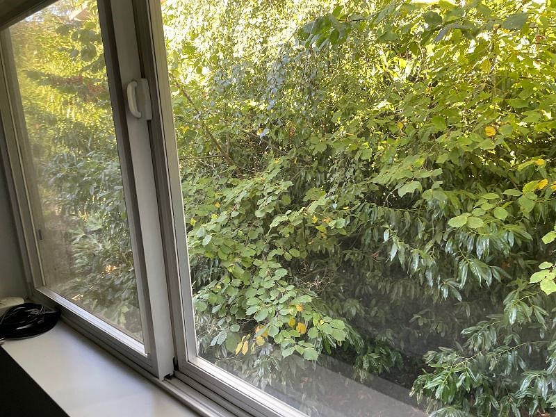 View of back from bedroom