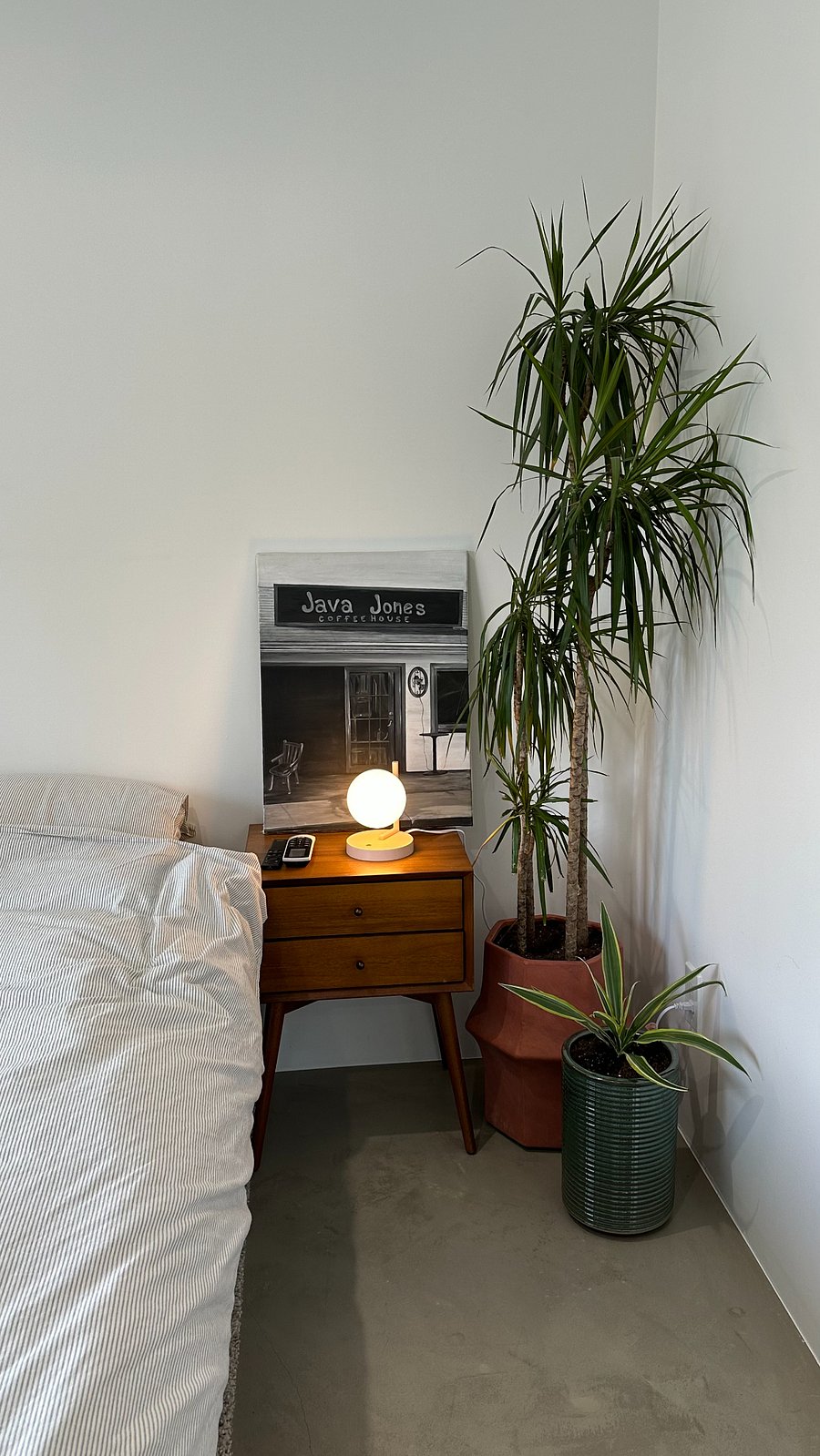 Real plants that are low maintenance and easy to take care of
