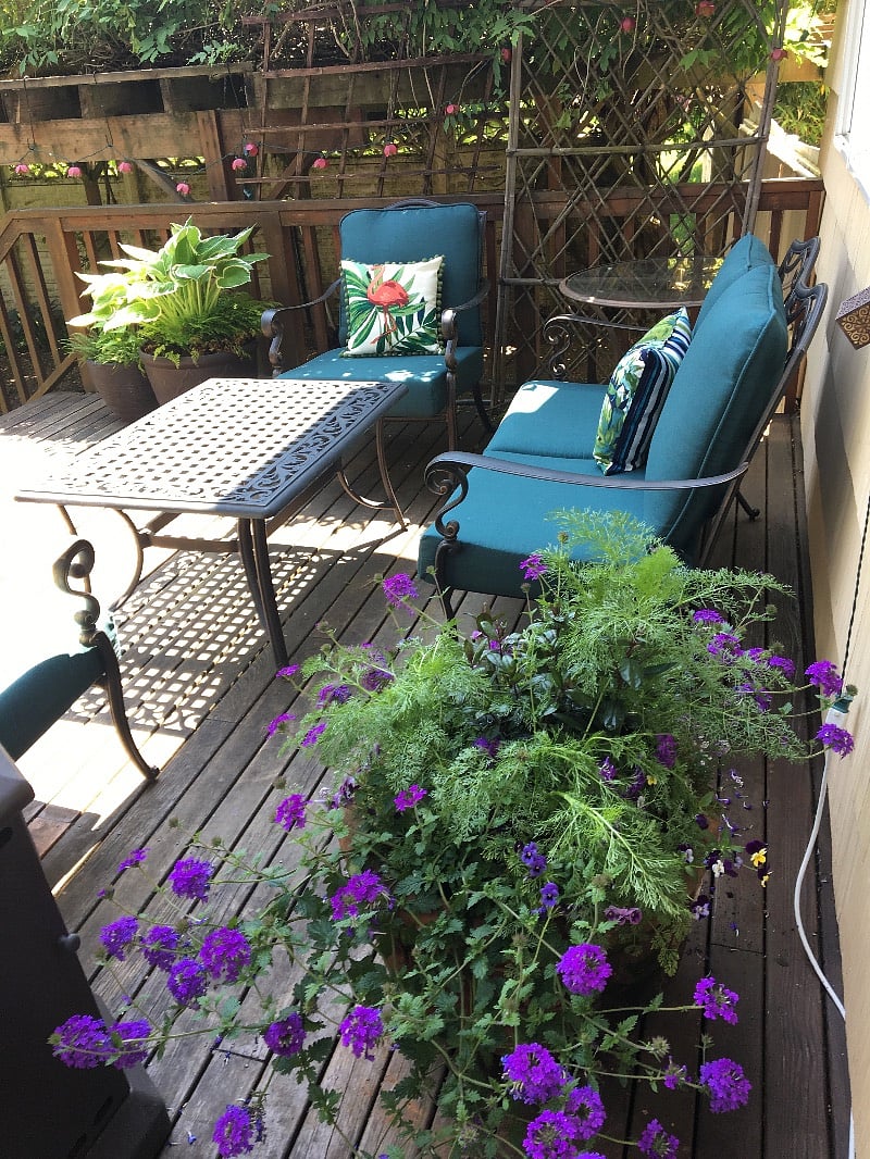 Back deck off the kitchen.