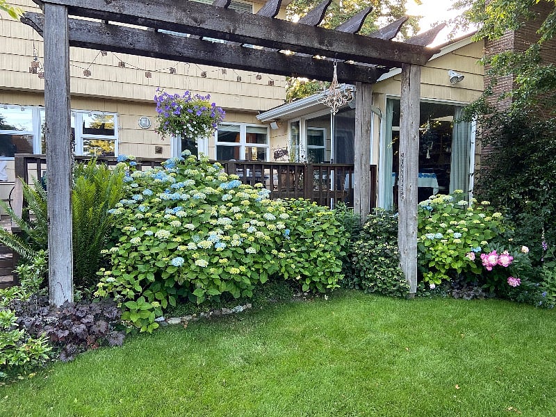 Back yard below the deck.