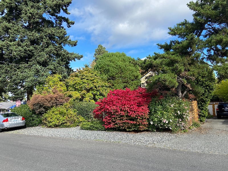 Plenty of parking in front of the house.  Designate tenet parking  where the silver car is. The owner parks in the driveway.