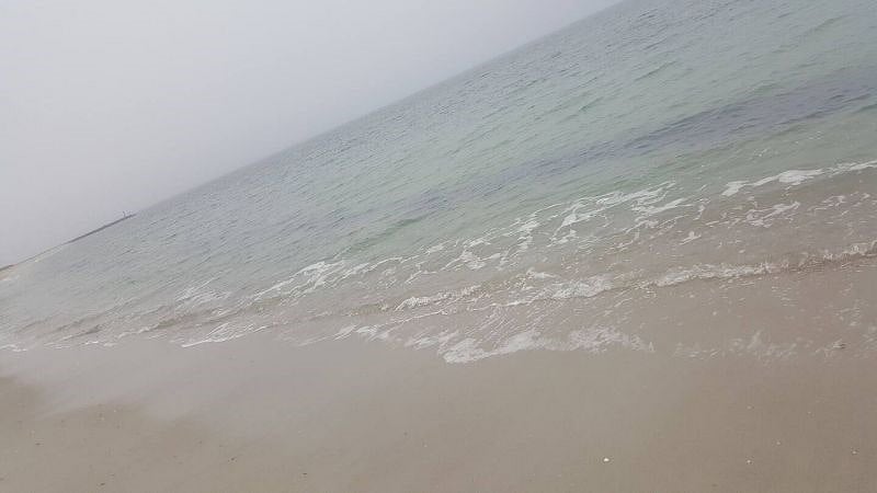 Dowses beach