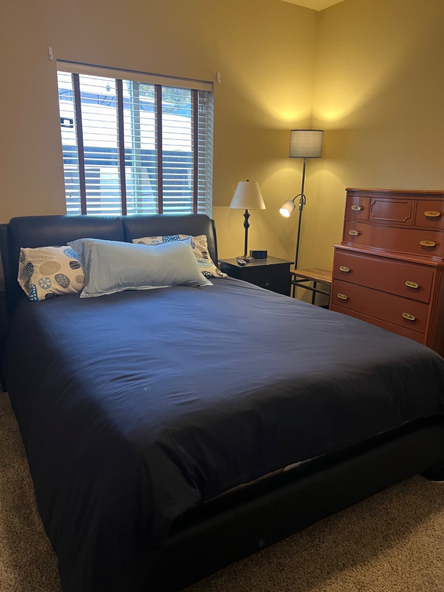 Furnished Finder property 595179_1 photo 16