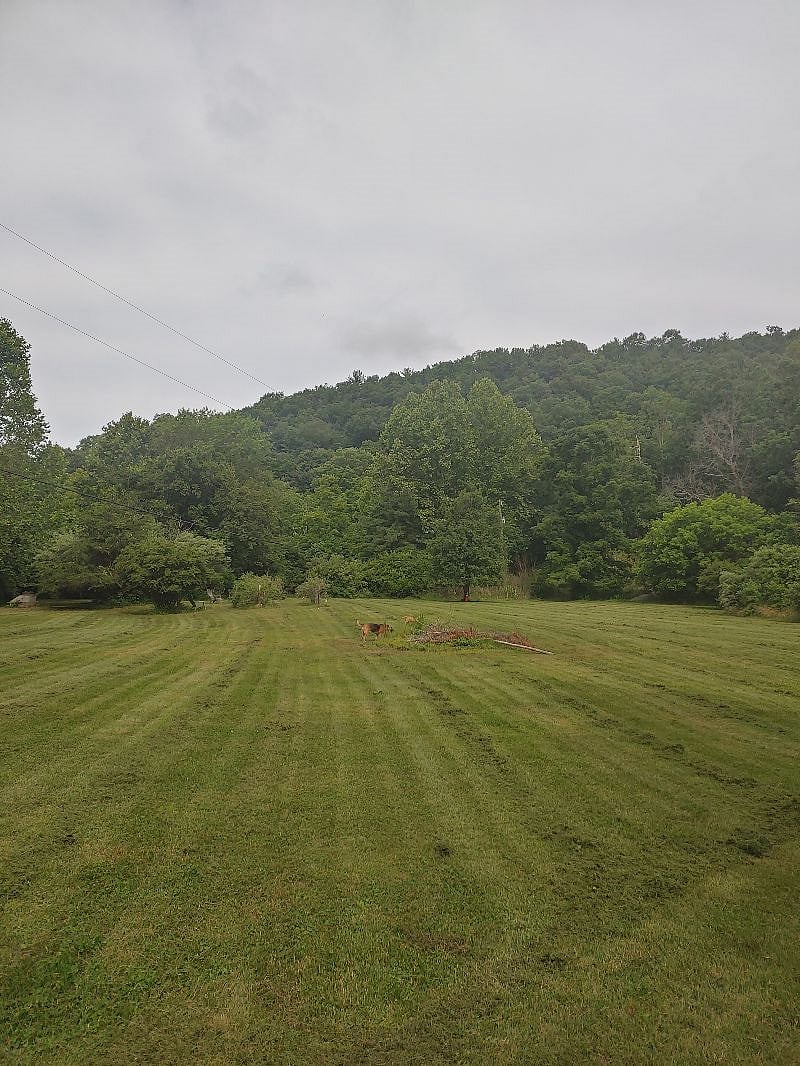 Large field on property with fire pit and blueberry bushes