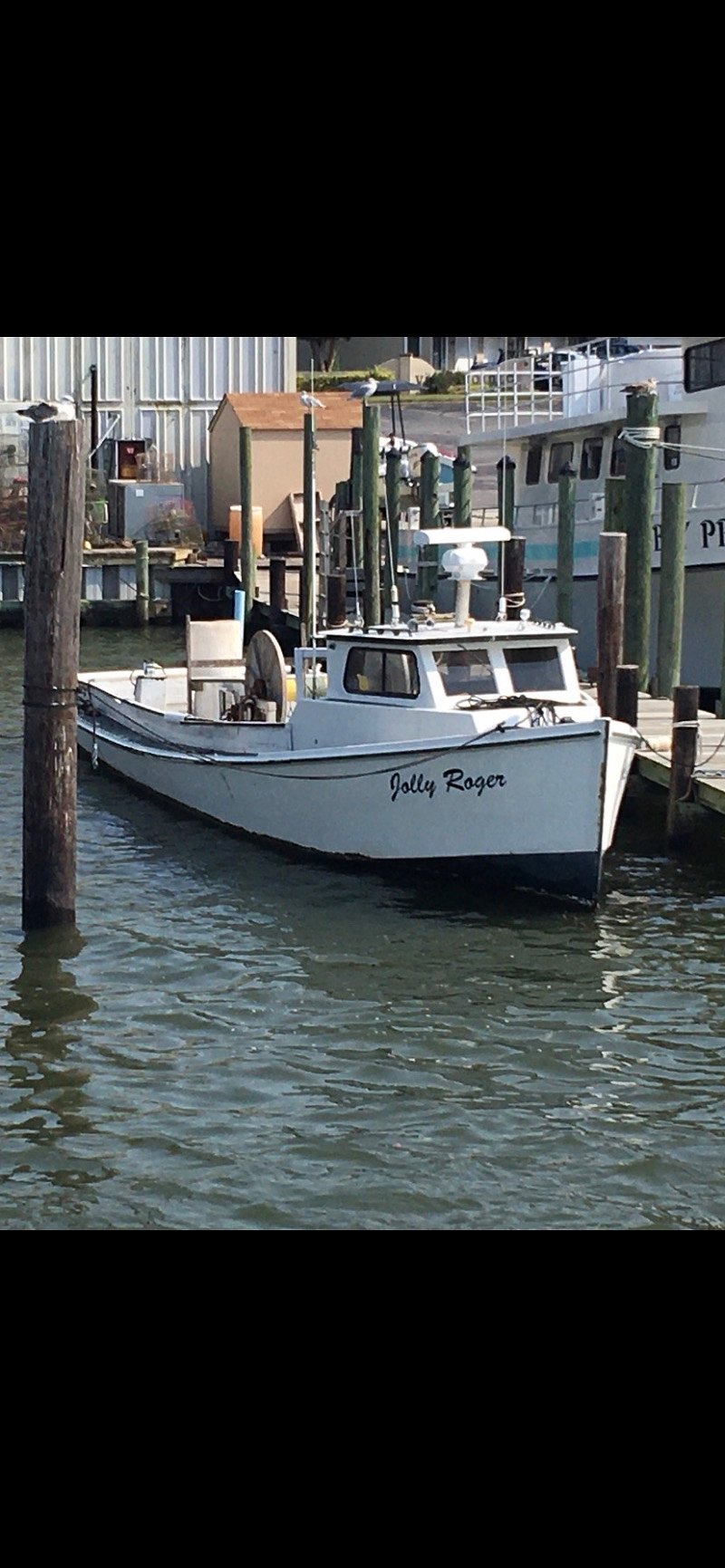 The "Jolly Roger" waterman fishing boat docked at Bubbas and Shellfish Market next to the Virginia Pilots and other restaurants. The crew of the JR pulls 2 skiffs out to the Pound Nets to untie the Pound Net and scoop the fish unto the deck. That's when they cull the catch, keeping the legal sized fish of the correct in-season species, and throwing overboard the live fish or sea turtles or sharks that they can't sell. Very humane way to harvest the bounty of the Bay! The Indigenous Peoples in the area invited this method of fishing, and taught it to the early  English settlers!