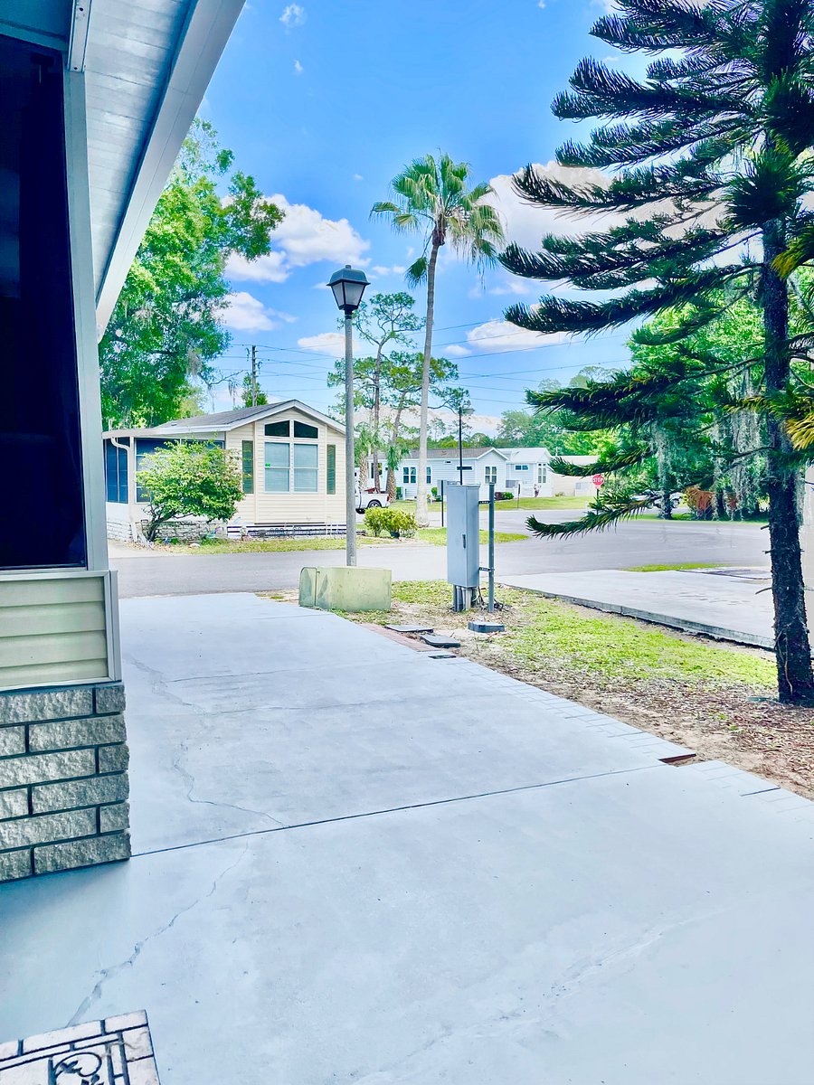 Furnished Finder property 595305_1 photo 20