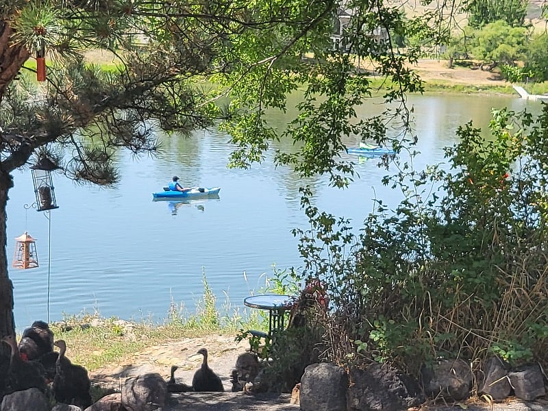 River activities