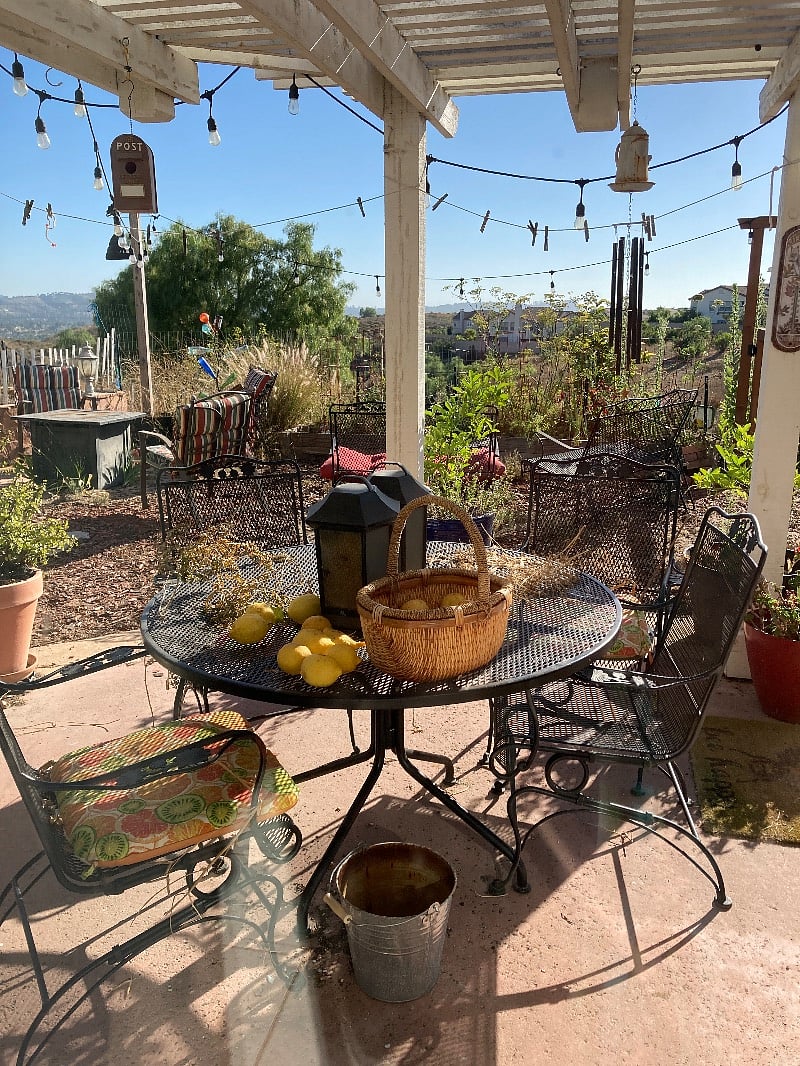 Shaded patio table in back yard