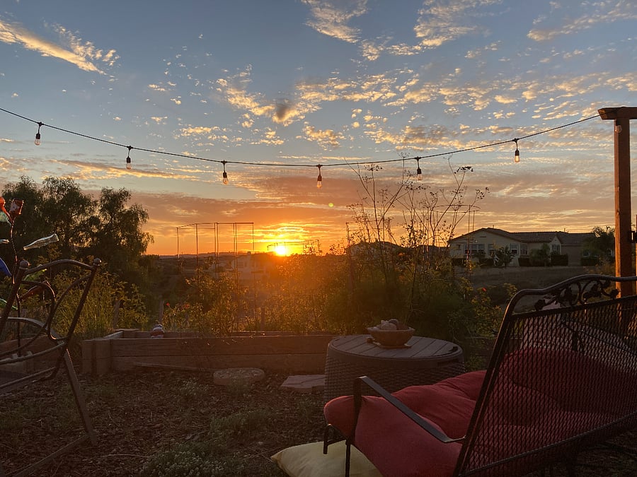 Beautiful sunsets nightly