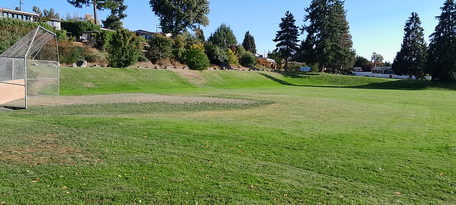 Community Park