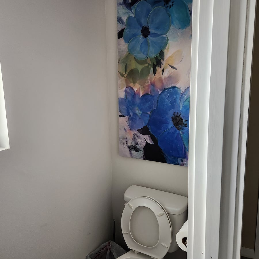 Master Bath Toilet