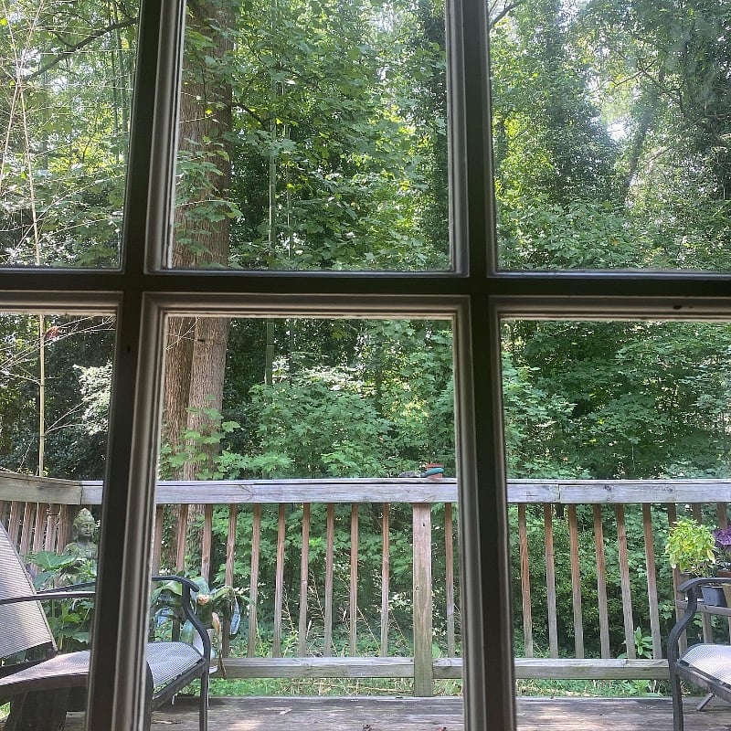 A little jungle, a little rural and a little city life. You get it all here.