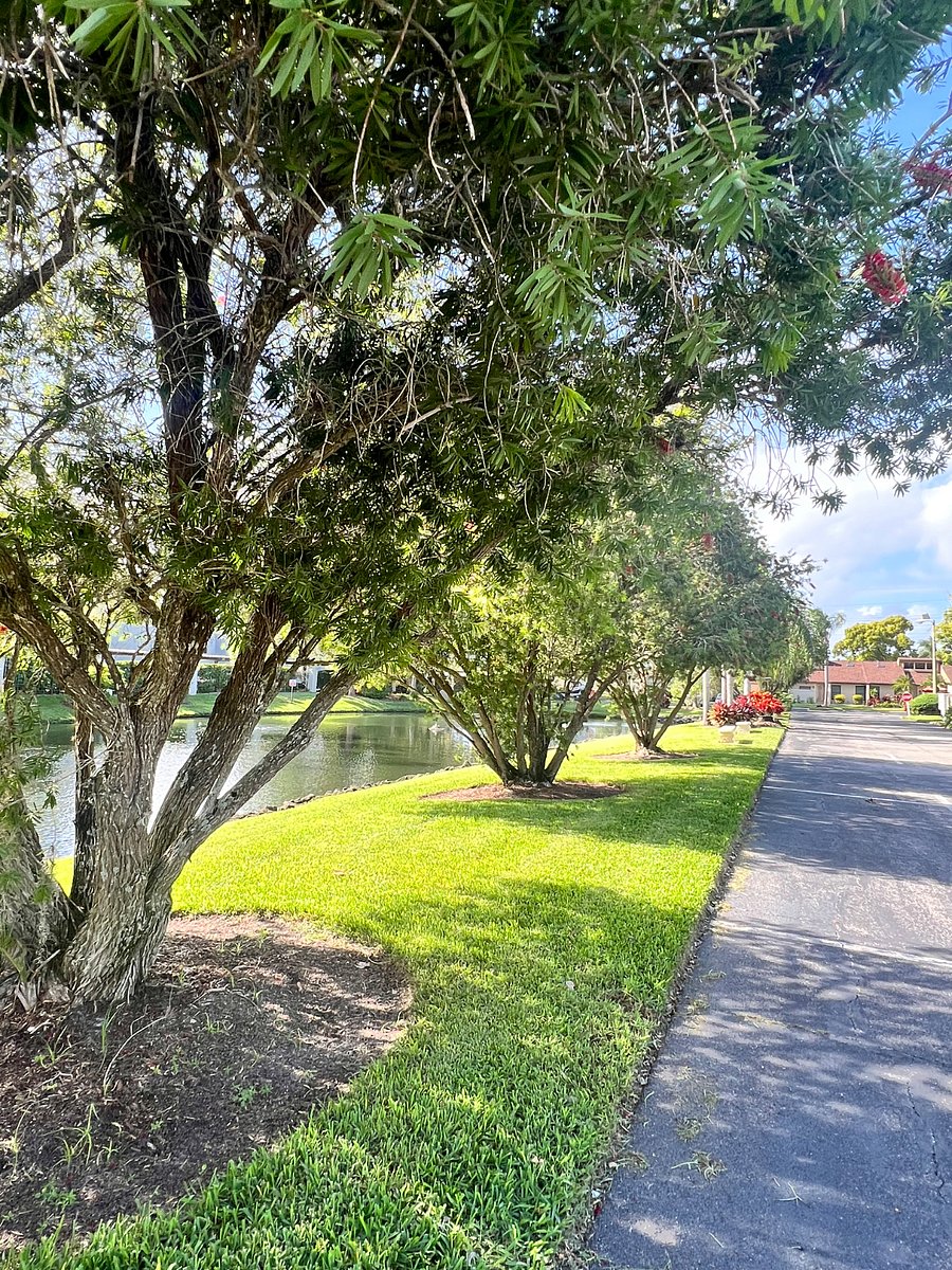 Furnished Finder property 596801_1 photo 14