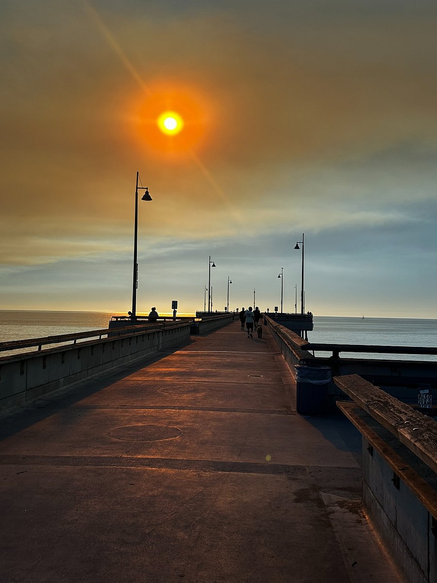walking distance to Venice pier and all Abbot kinney shops