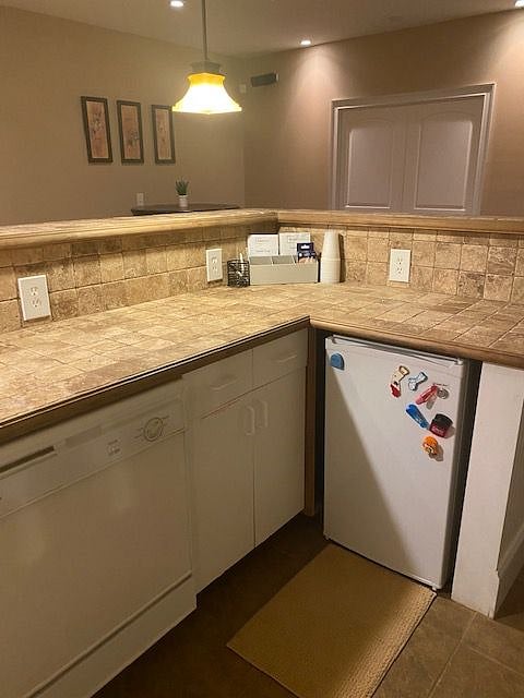 Bar/Kitchen area with dishwasher and Fridge