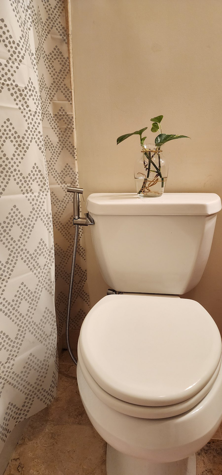Furnished Finder property 597012_1 photo 15