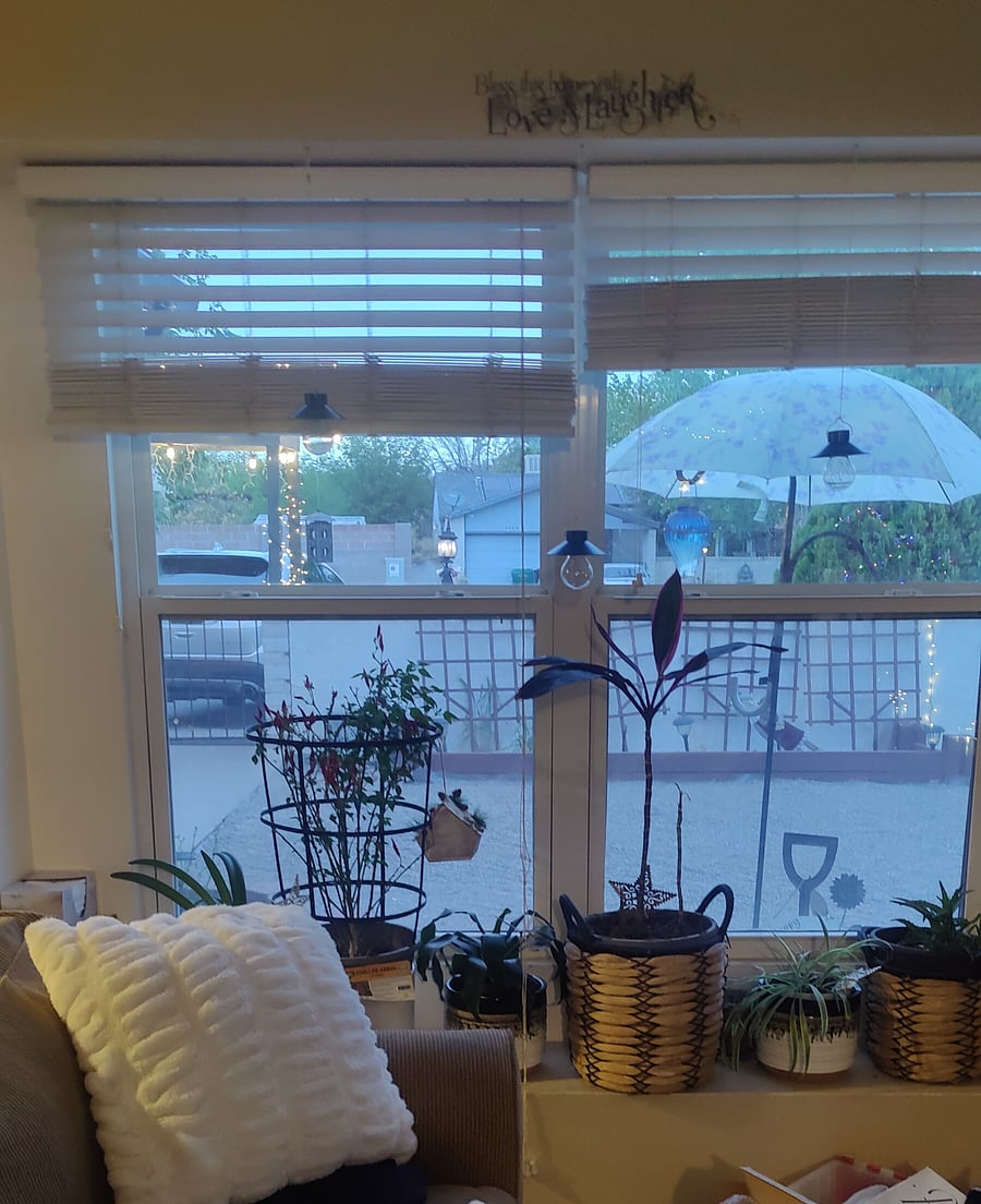 Furnished Finder property 597124_1 photo 7
