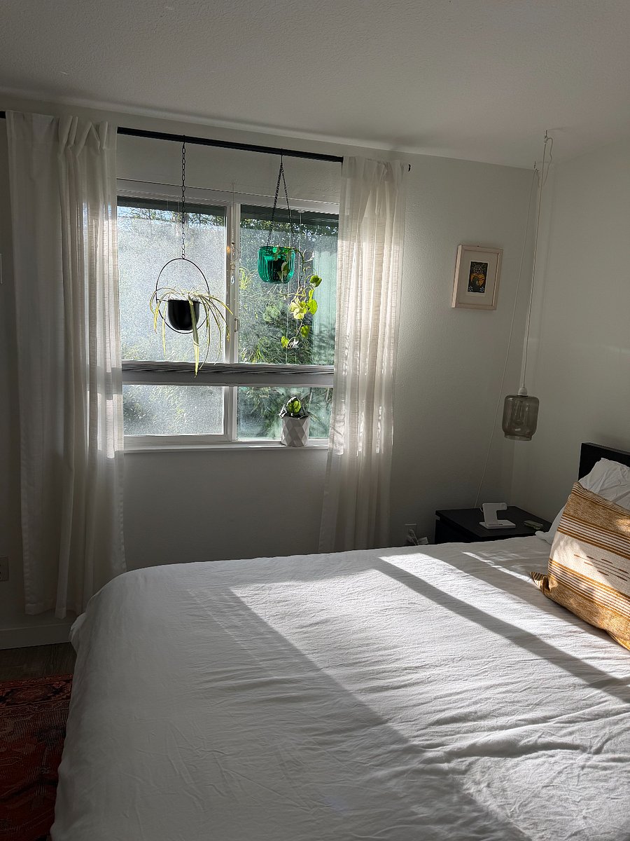 morning natural light in master bed