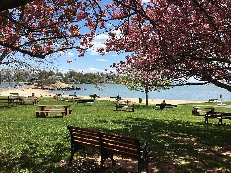 Our favorite park in town