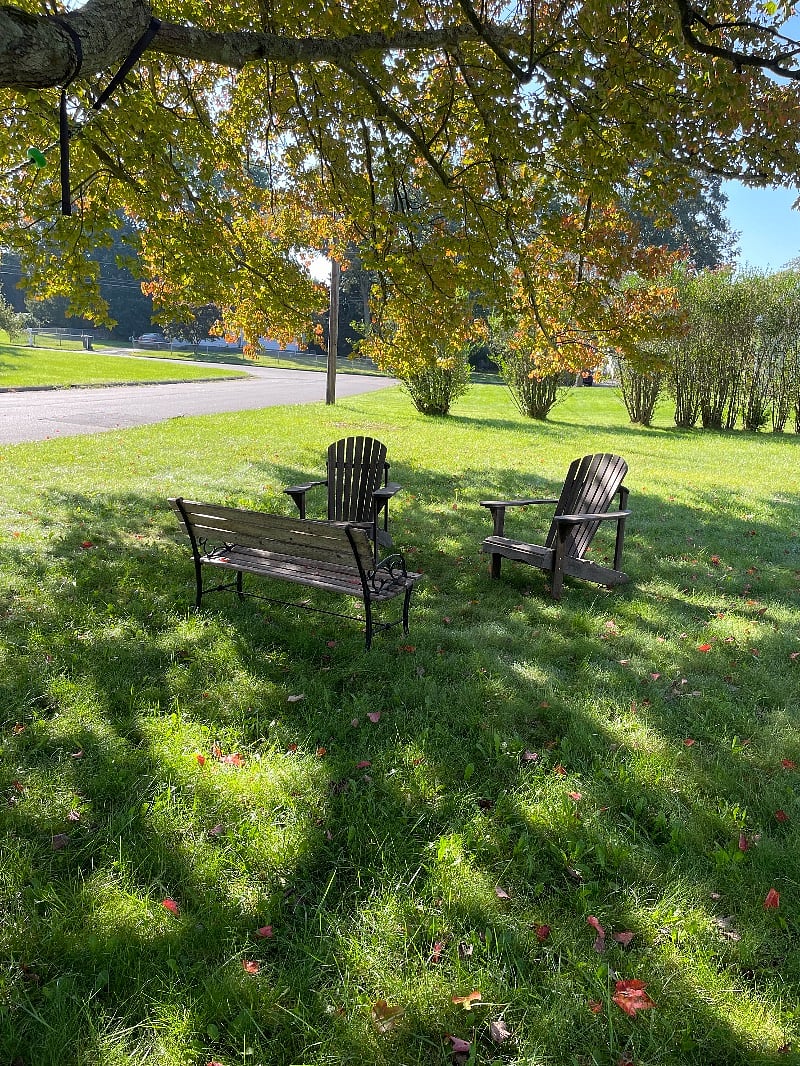 Large beautiful yard
