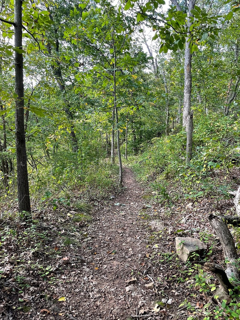 Many beautiful hiking trails right in town