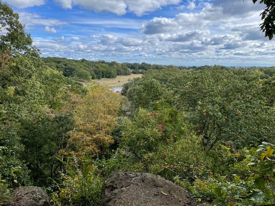 Hiking in town