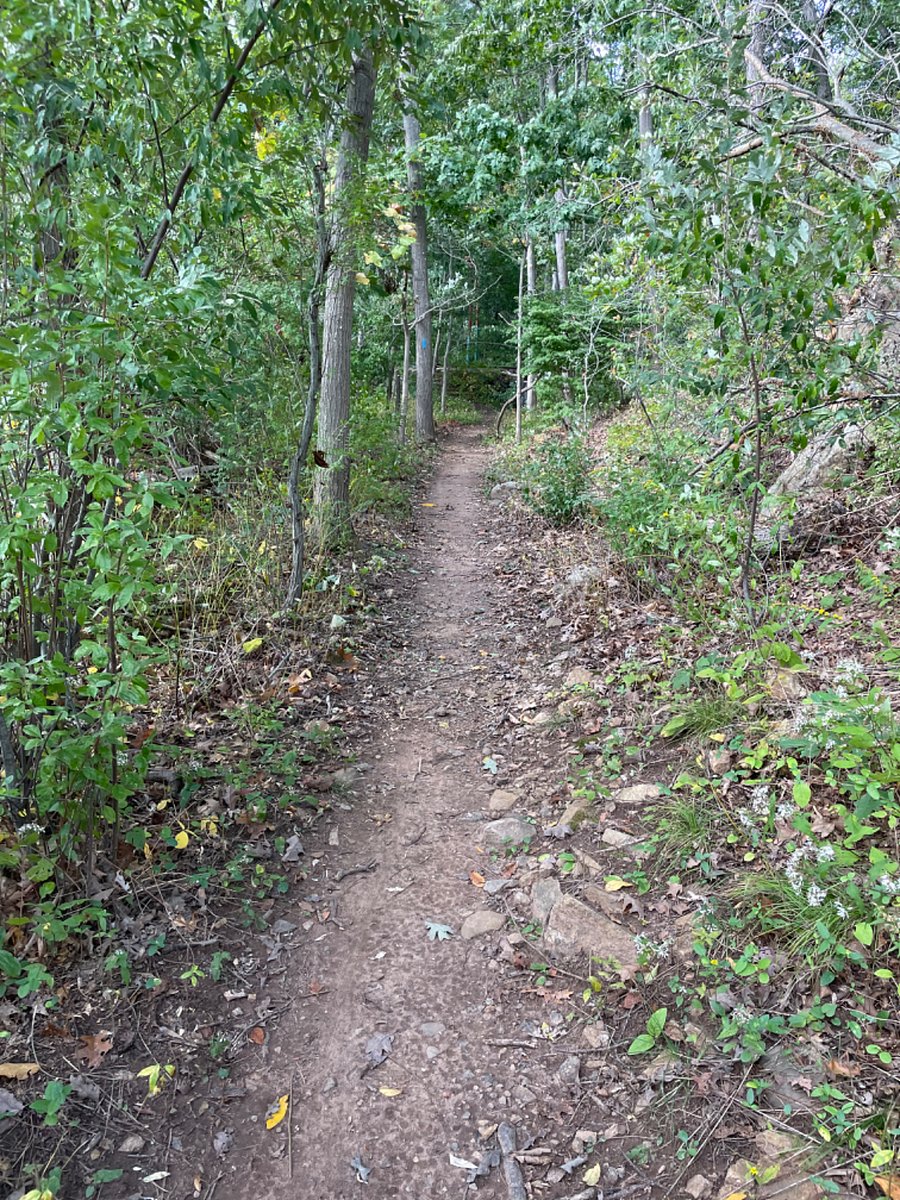 Hiking in town