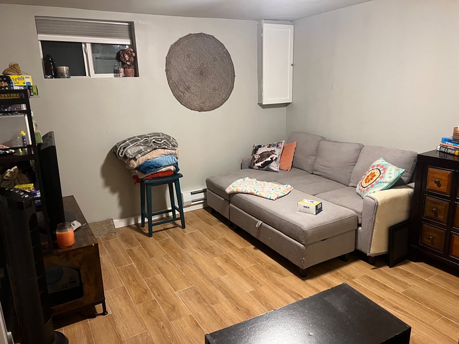 Basement living room