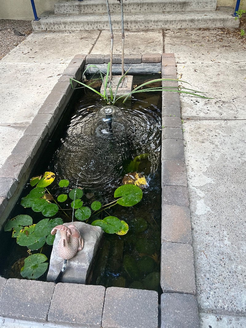 Courtyard Pond with Flowing Water
