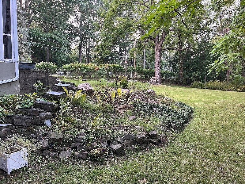 Part of our backyard