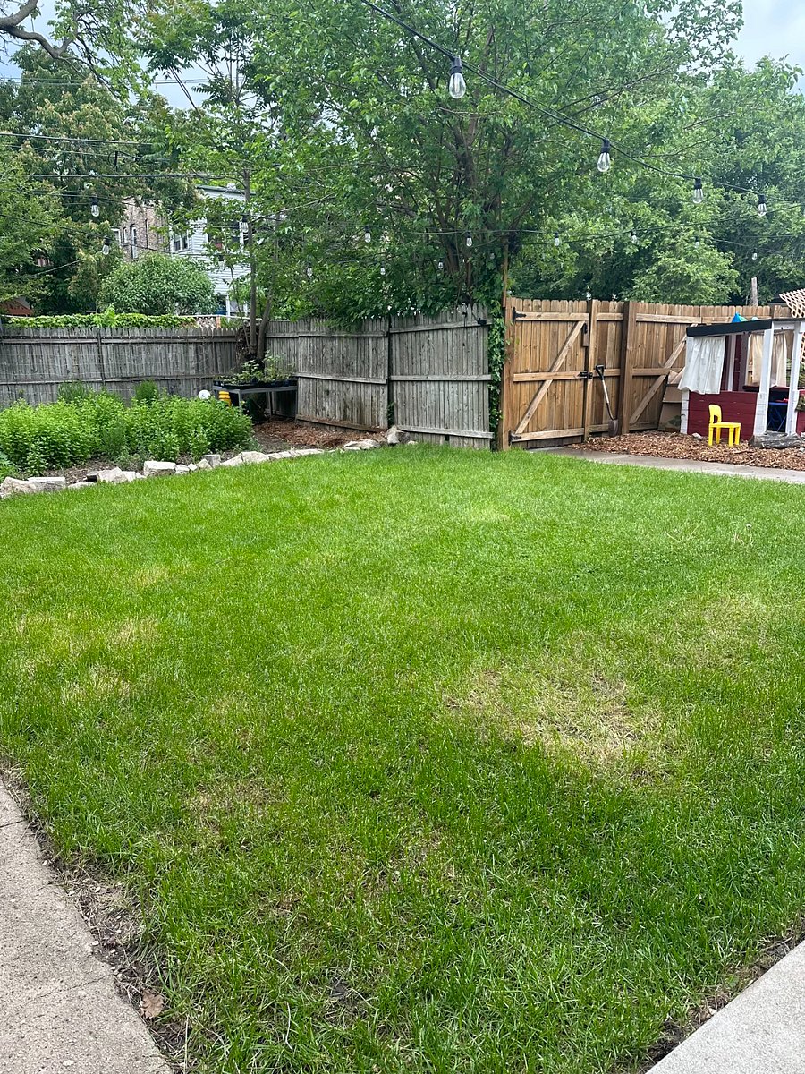 Lush, professionally landscaped garden.
