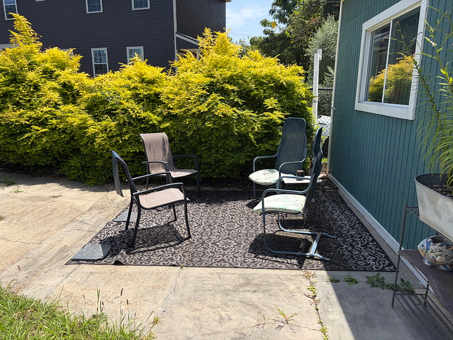 Backyard