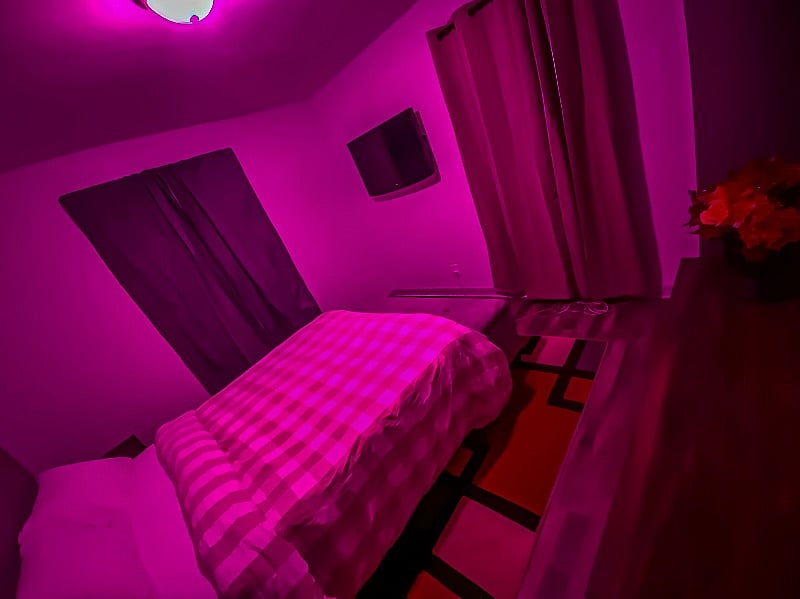 Sleep like a royal family member on the Queen-size bed found in the master bedroom.