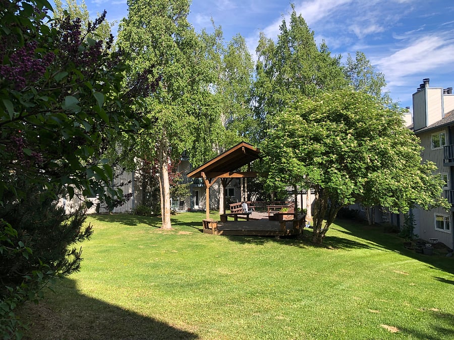 The view from the back porch into the small, private park for condo residents.