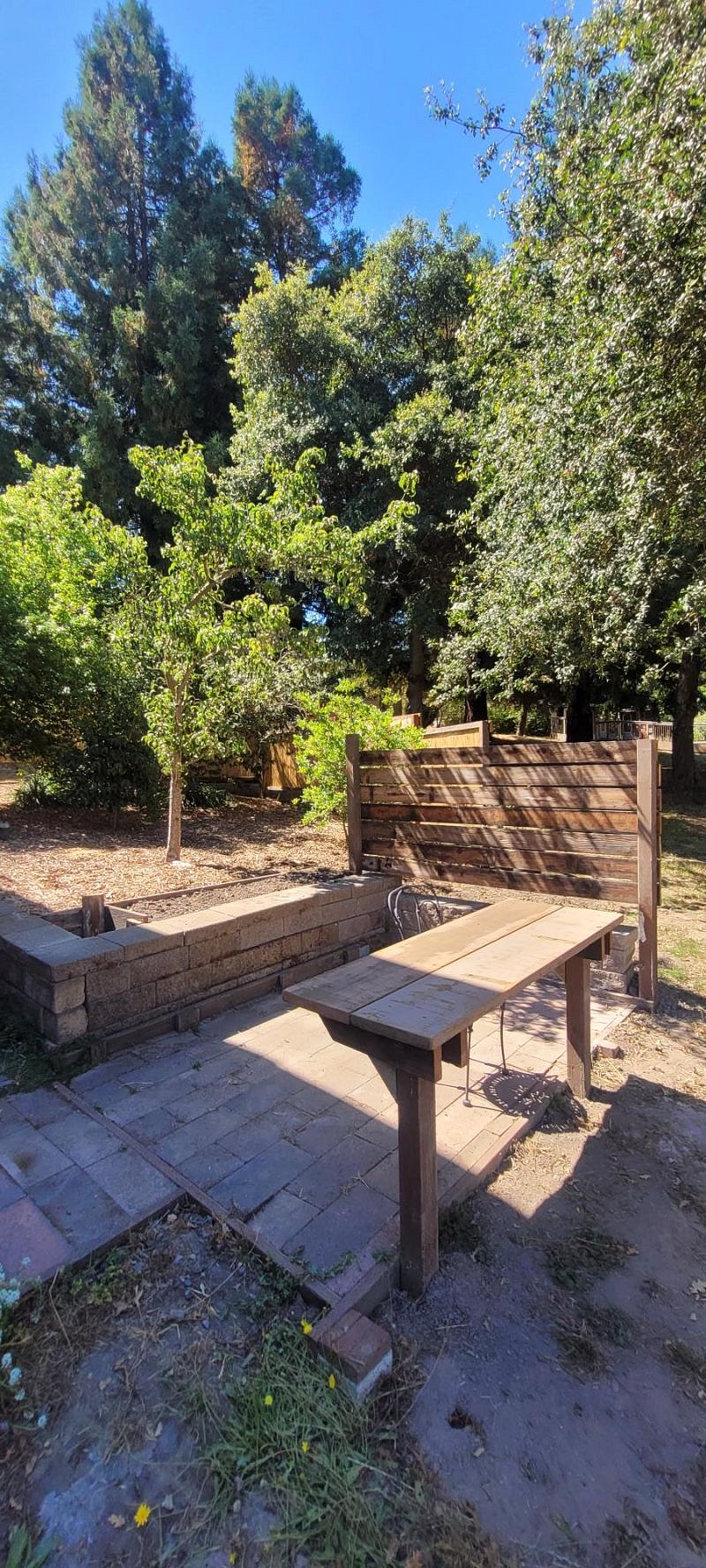 Apartment  BBQ Patio

