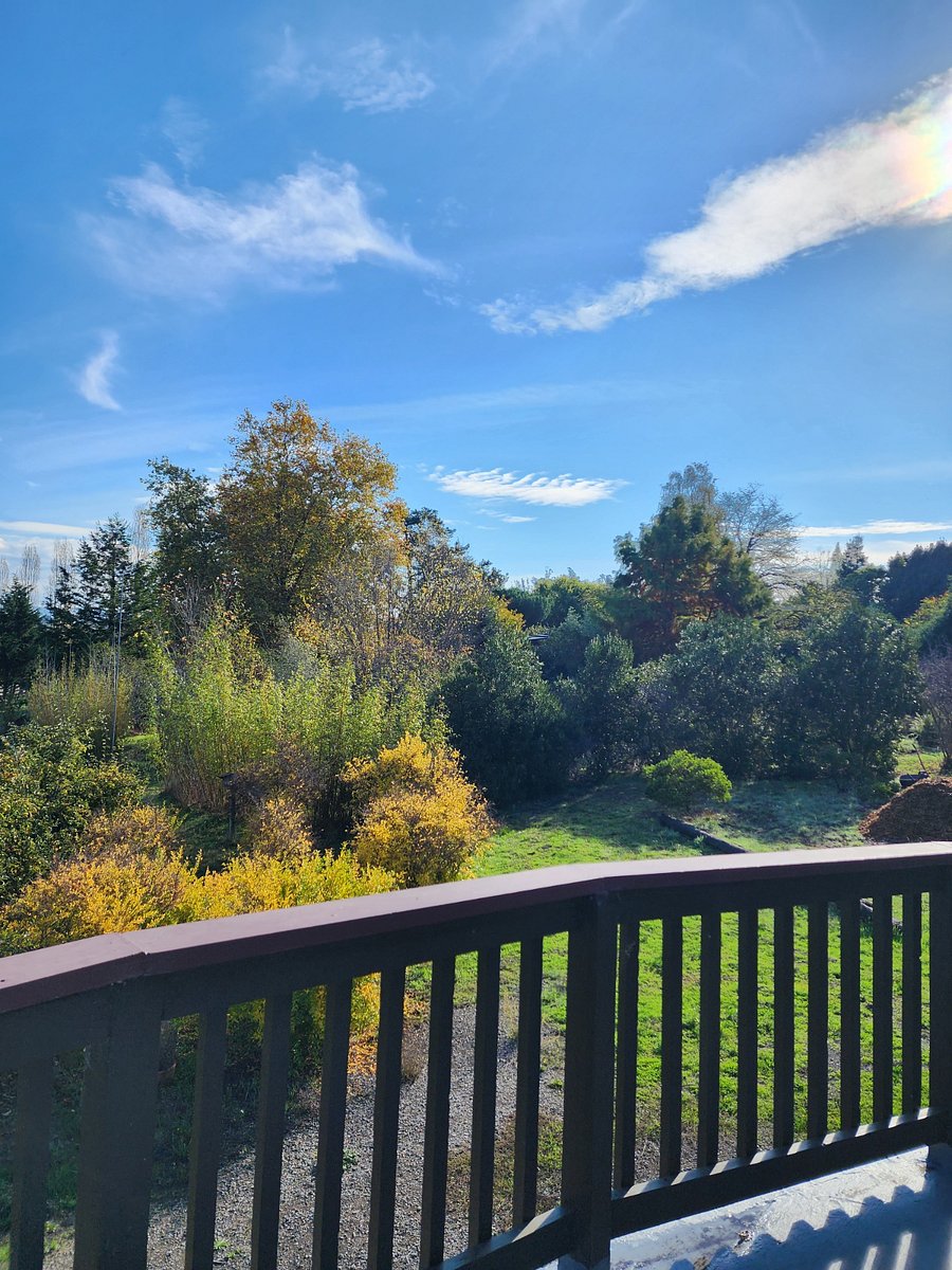 view from private balcony