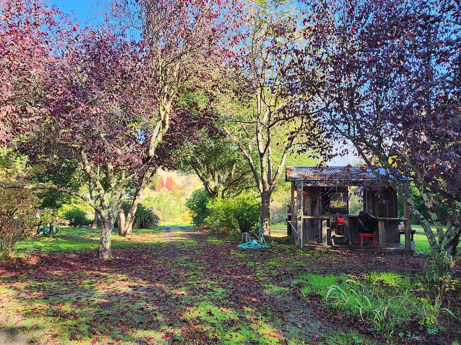 Drive lane past farmstand down to apartment