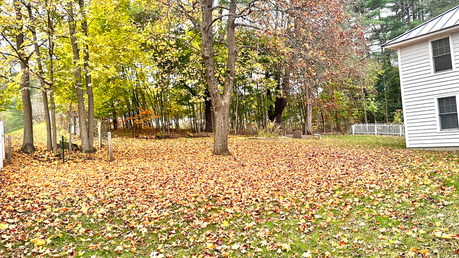 Furnished Finder property 599295_1 photo 18