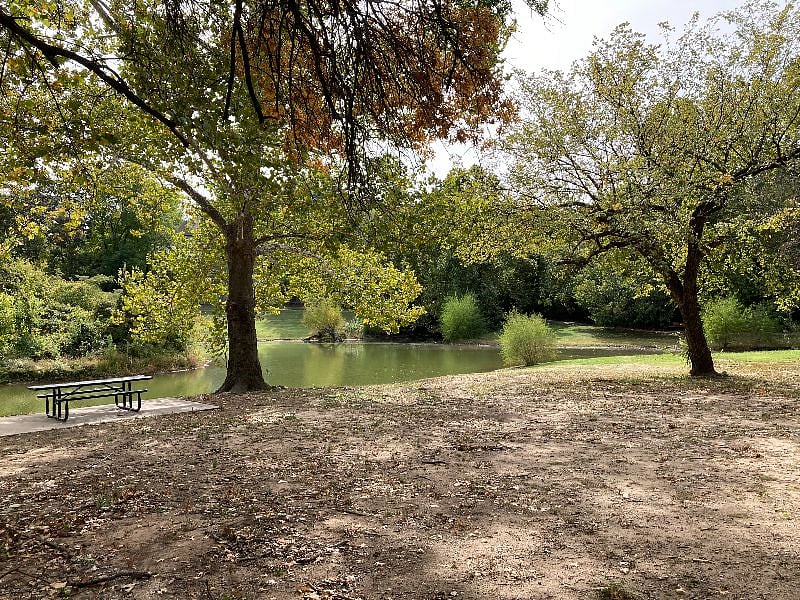 Backyard-Pond & walking trail just steps from the patio.