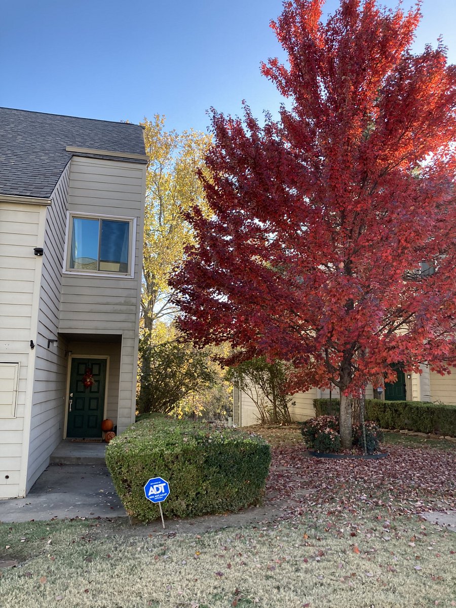 Furnished Finder property 599439_1 photo 10